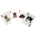 Self-Knowledge Prompt Cards - 60 Cards
