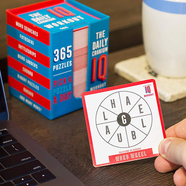 Daily Brain Training IQ Puzzle Cards - 365 Challenges